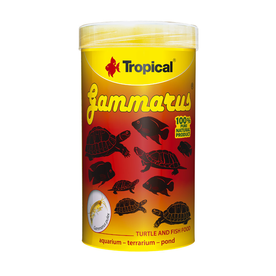 Tropical Gammarus alimento para répteis